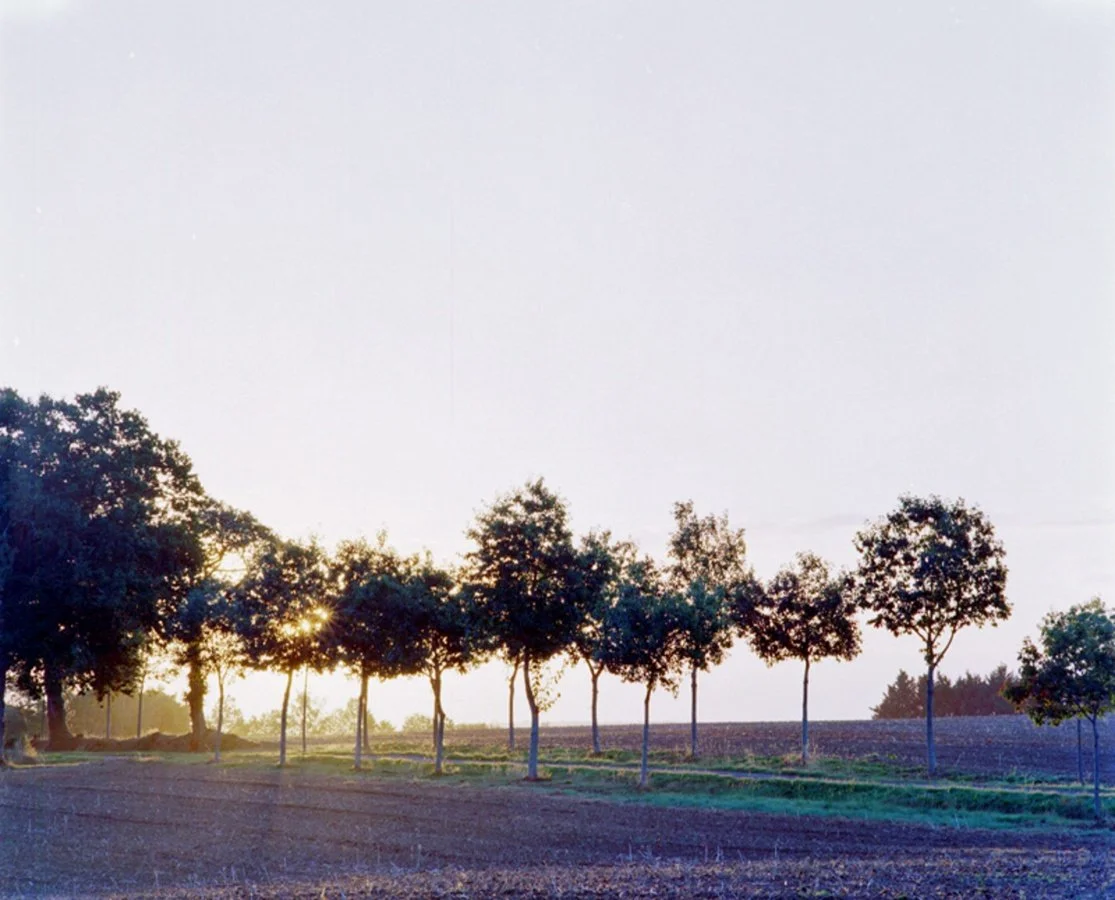 Lever-de-soleil-automnal_w.jpg