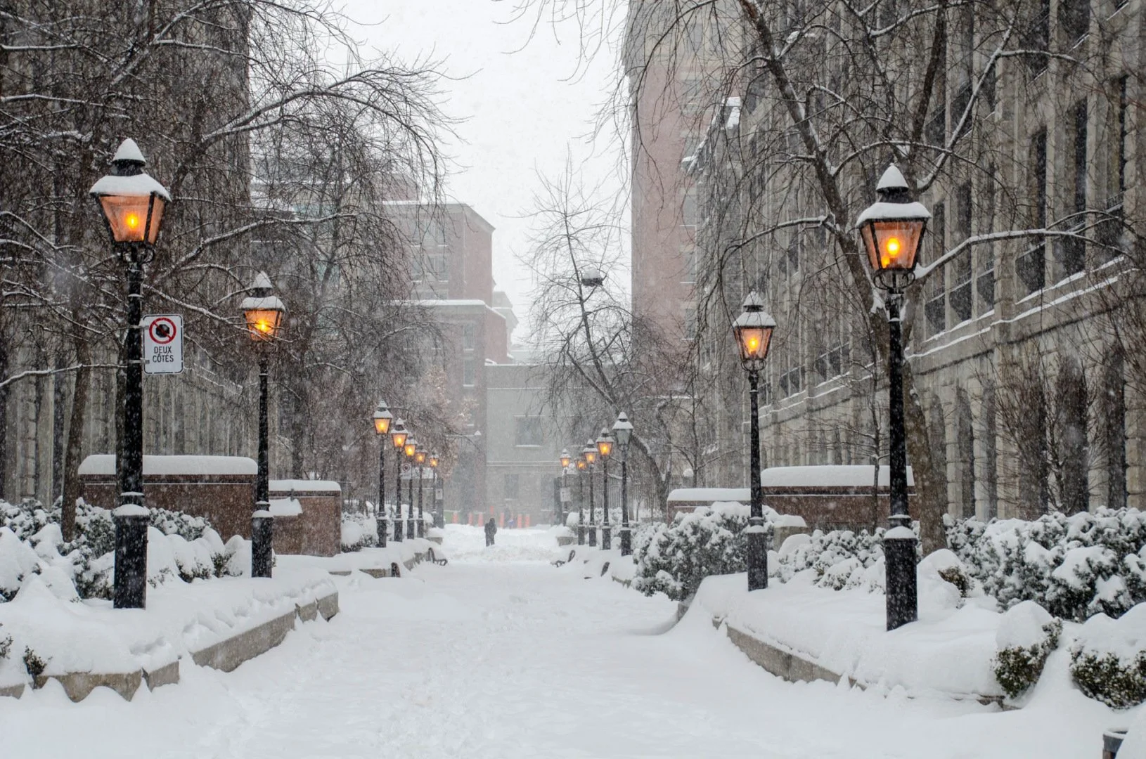 Montreal-sous-la-tempete-de-neige.jpg