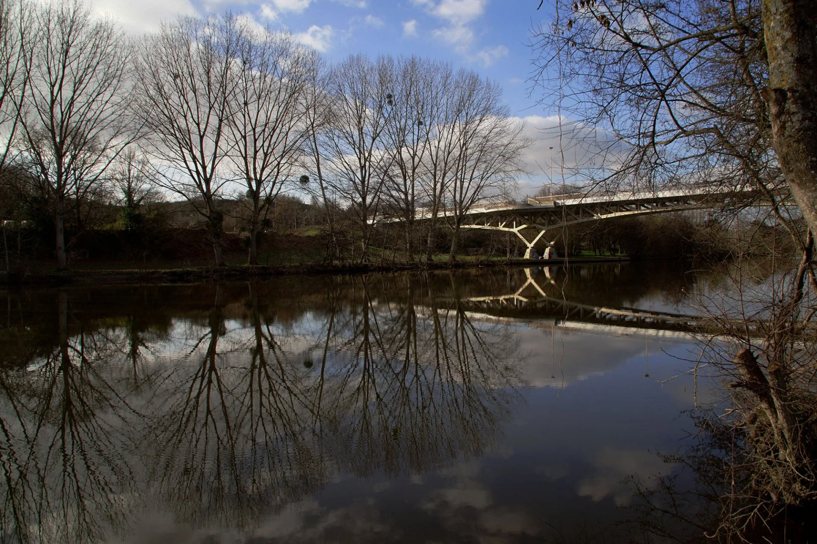 Bord-de-la-Mayenne....jpg