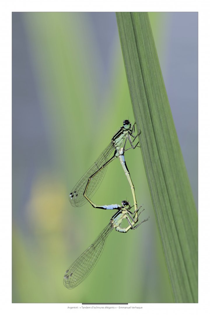 Support-leger-90X60-HD-1.jpg