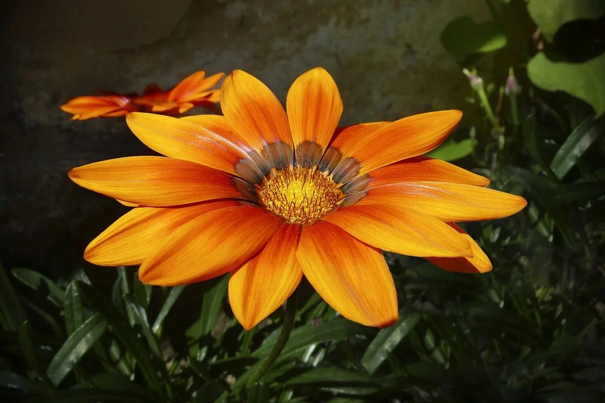 Orangerie_39.jpg