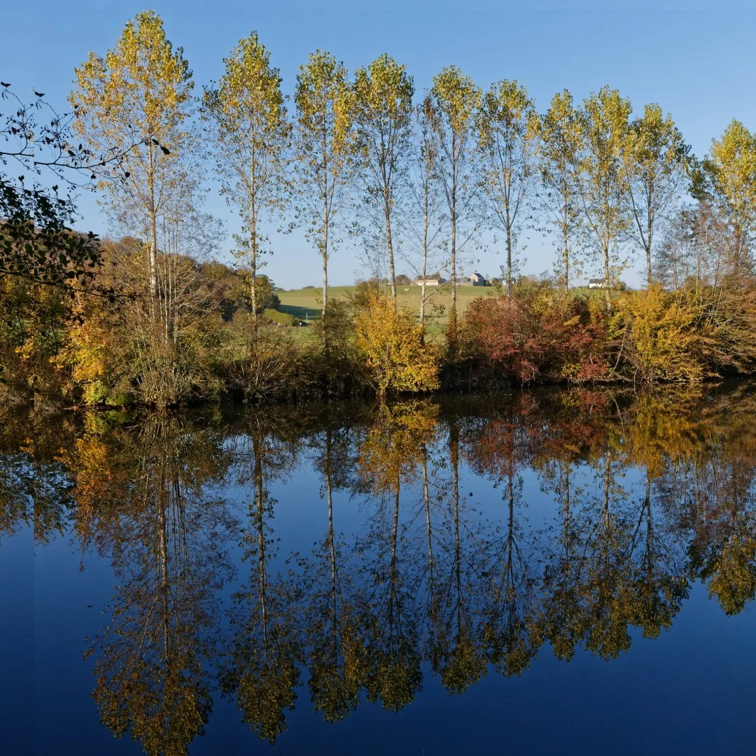 Miroir-Peupliers.jpg