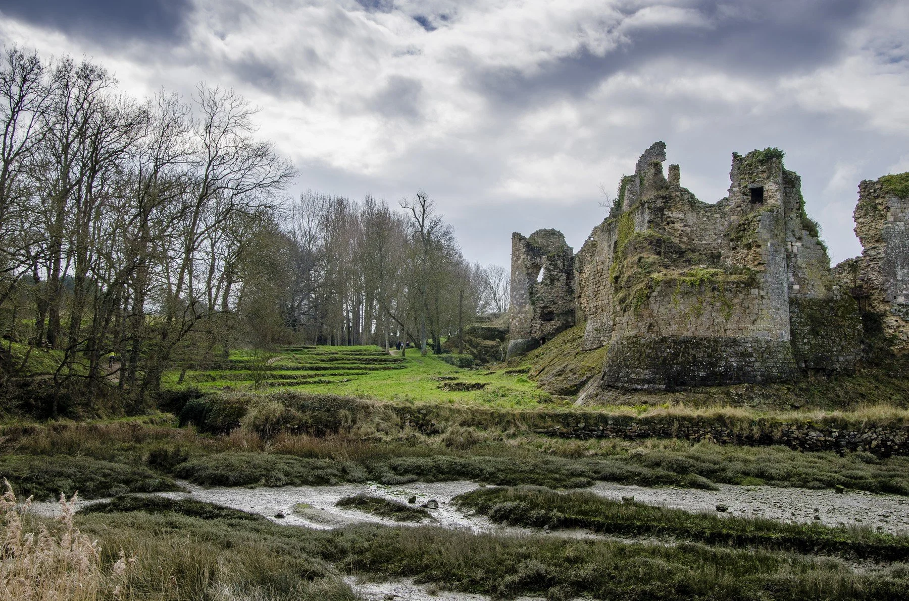DSC_0635a_2.jpg