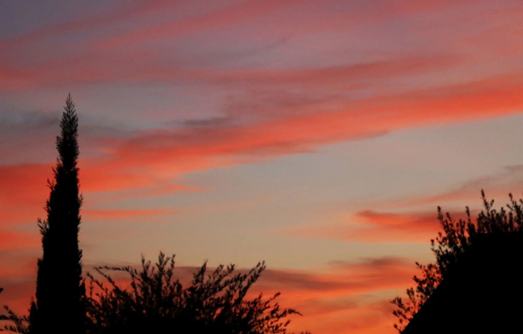 Lever-de-soleil.jpg