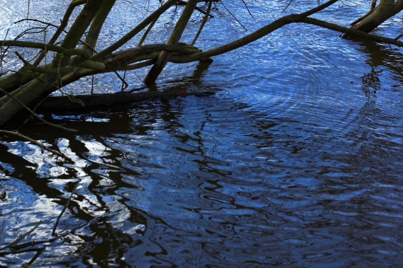 Hydrographie-_1.jpg