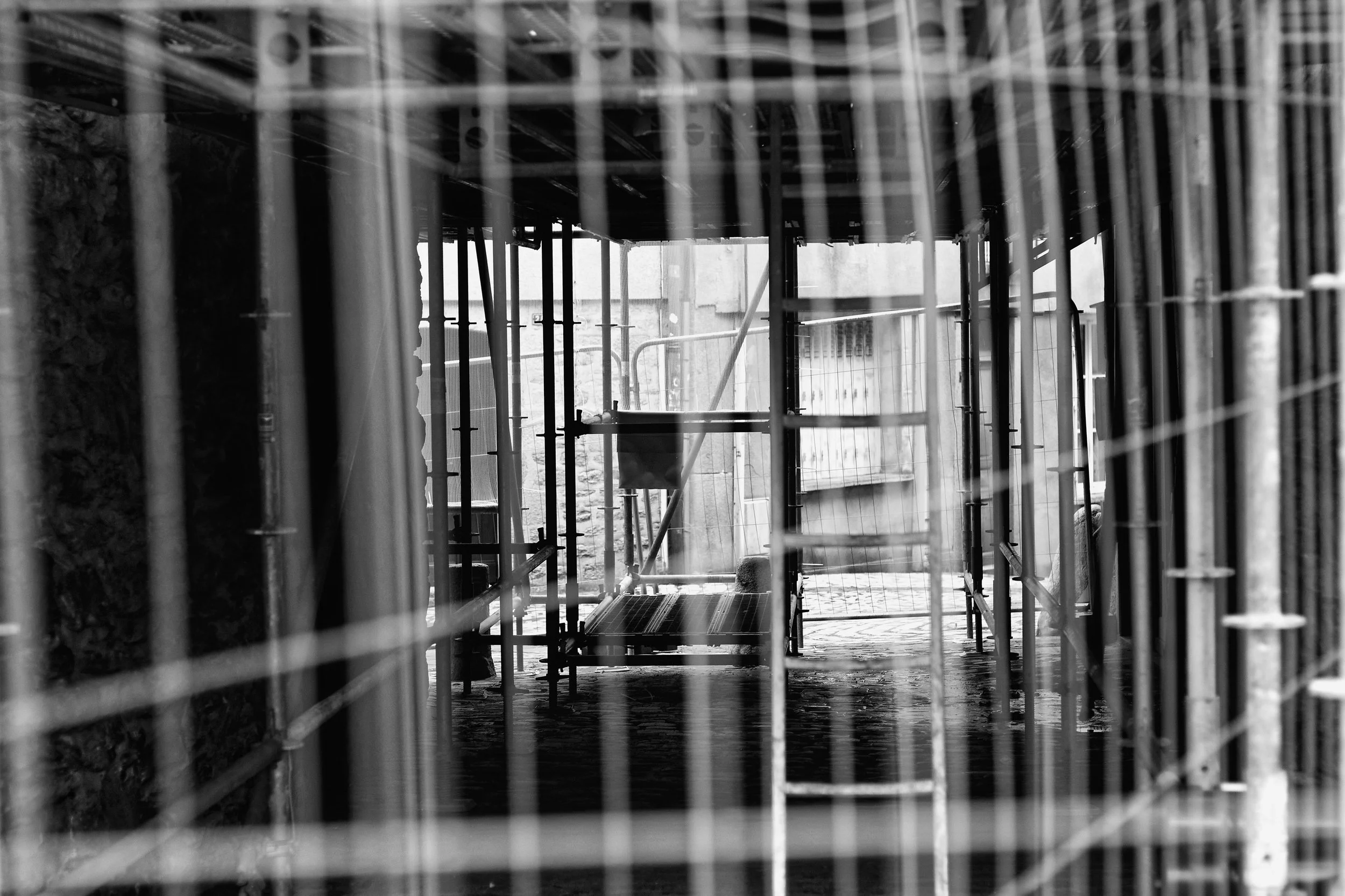 IMG_2524original_DxO-pm.jpg