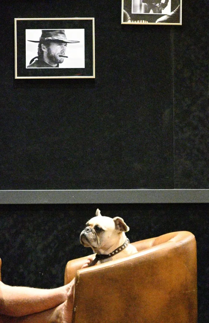 Un-decor-qui-a-du-chien.jpg