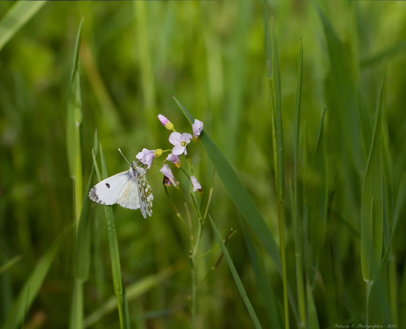 IMG_5426_DxO.jpg