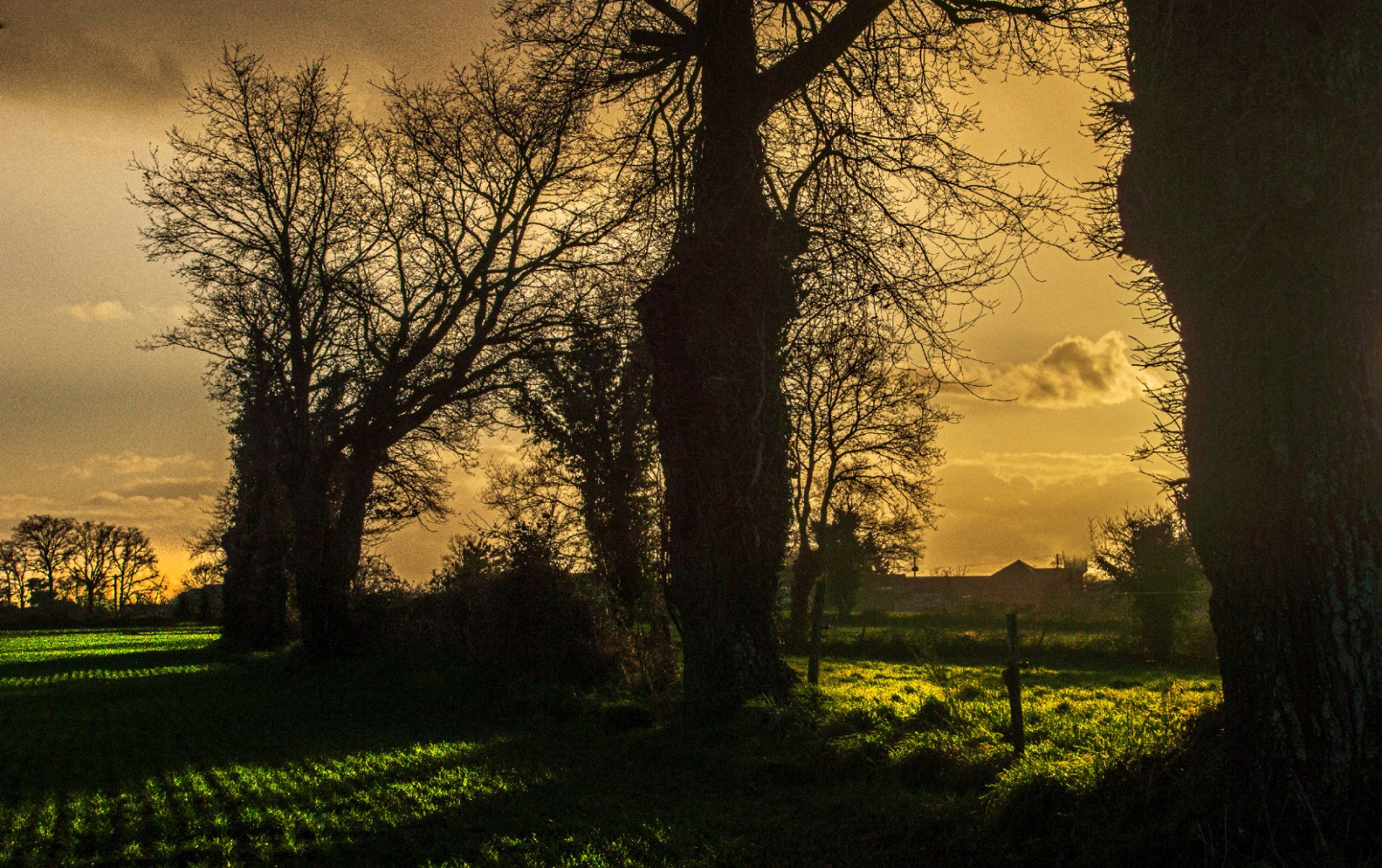 Coucher-de-soleil.jpg
