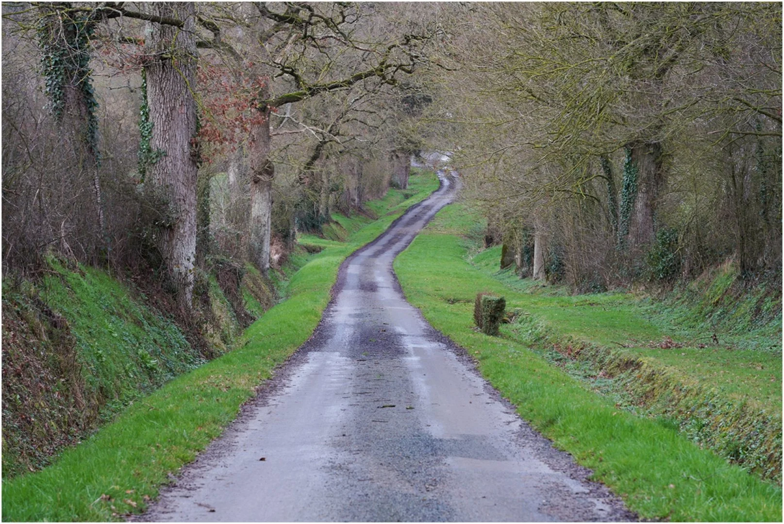 Au-fond-la-Mayenne.jpg