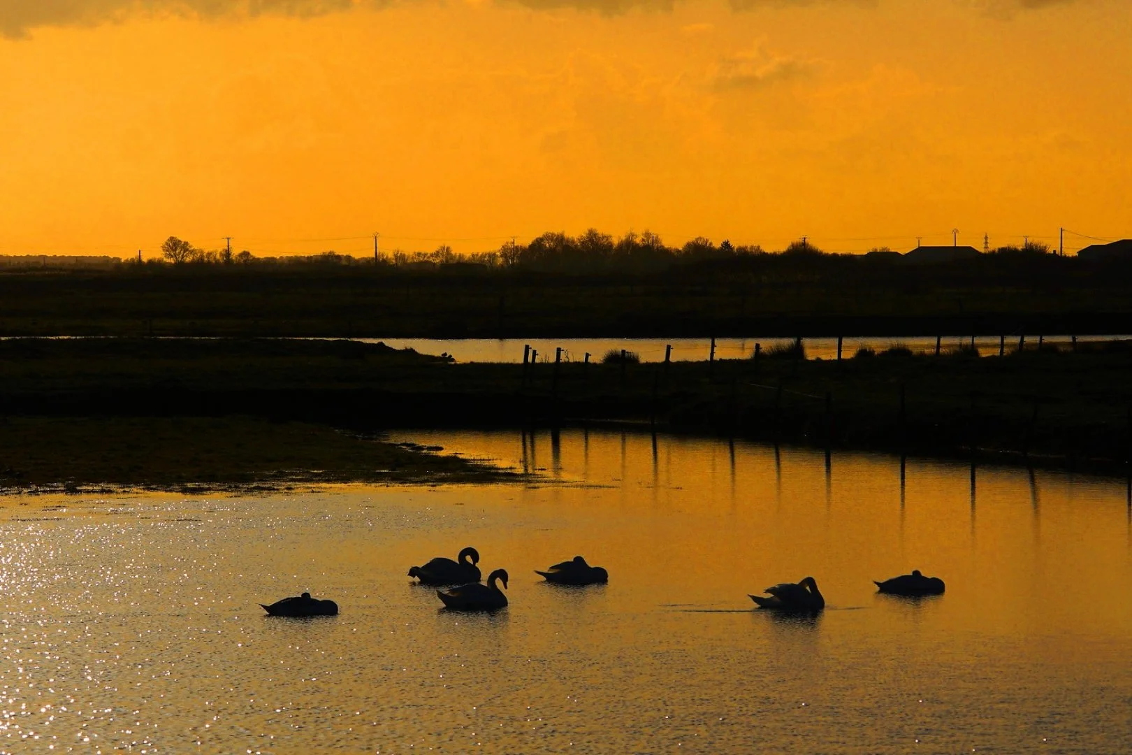 Ombre-et-soleil-.jpg