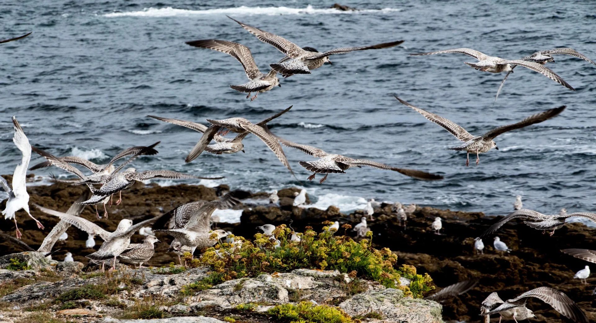 BA-10-21-03-F10-1-500-1250-ISO-a-135-mm-Copie.jpg