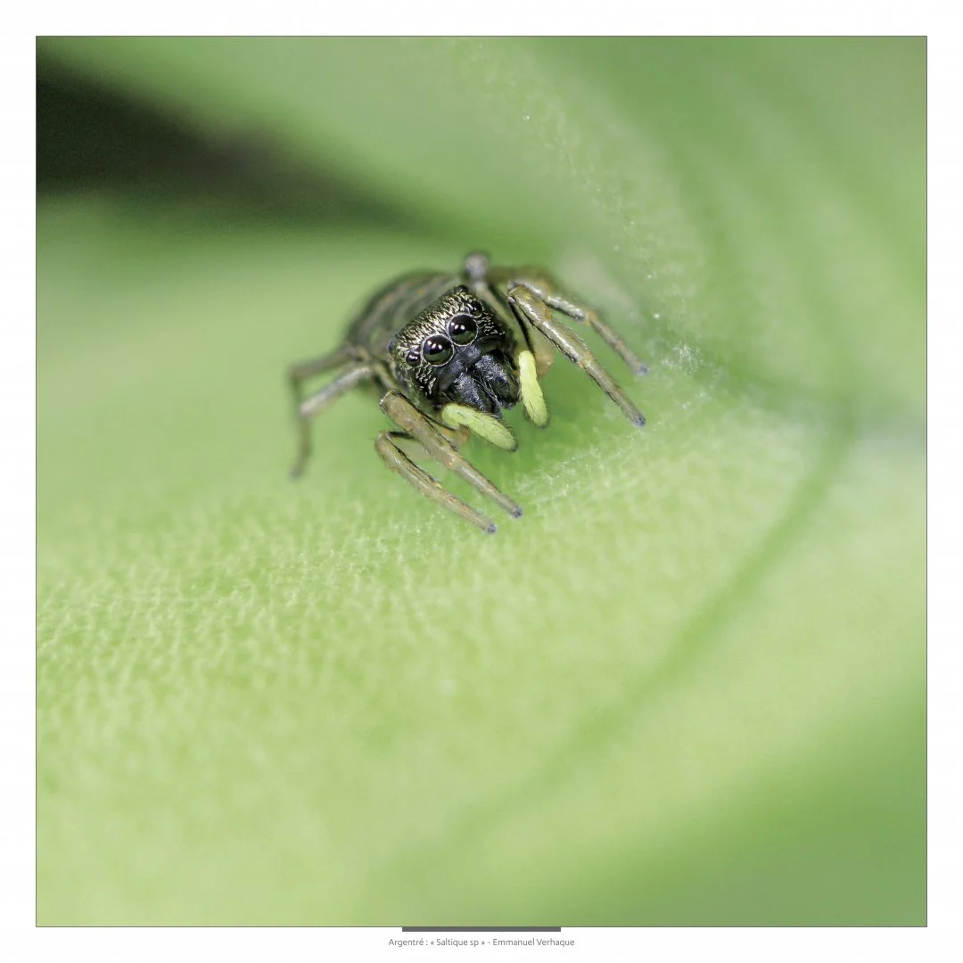 Support-leger-80X80cm-HD-6.jpg