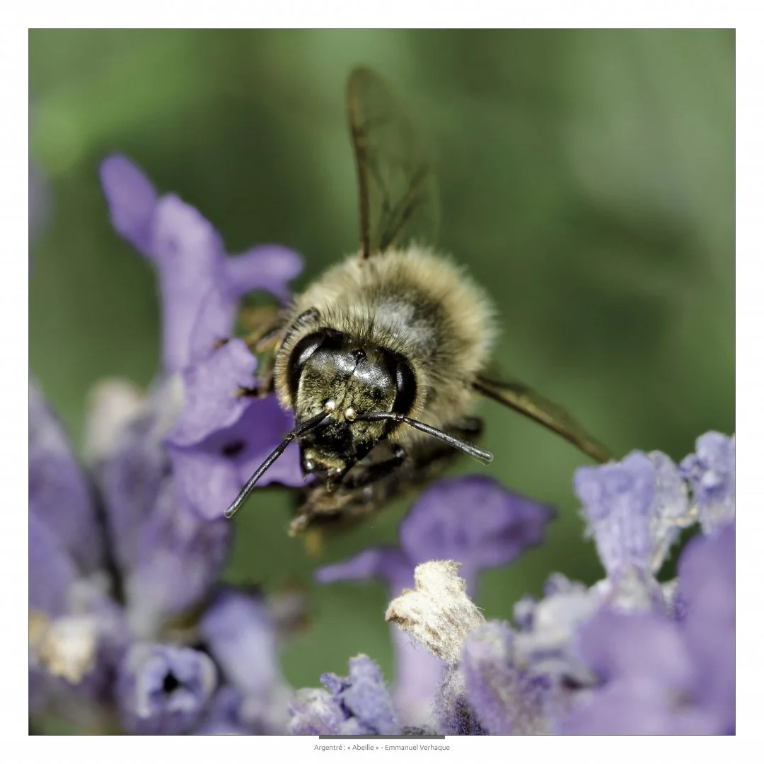Support-leger-80X80cm-HD-4.jpg