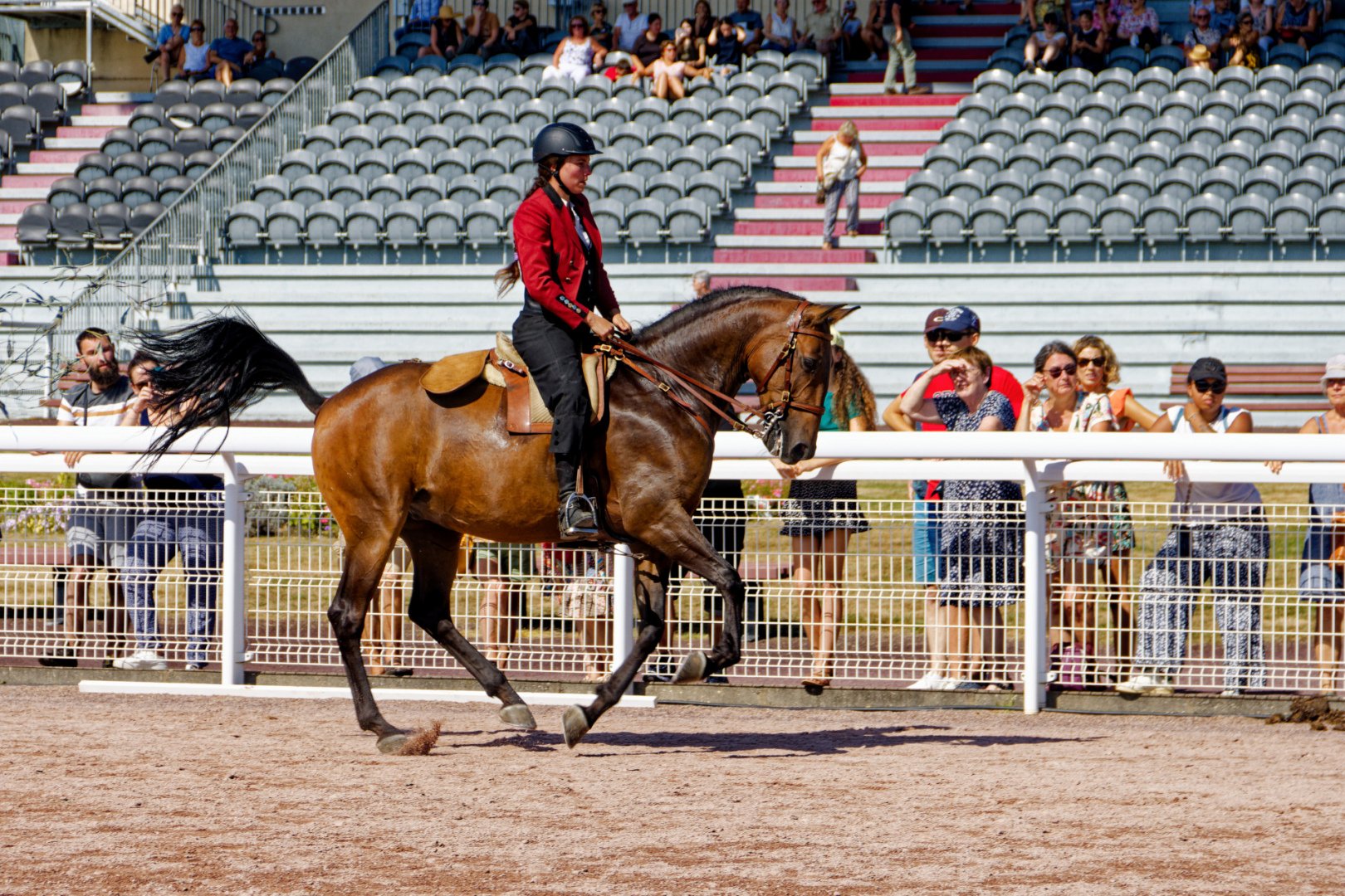 IMG_9868_DxO-1.jpg