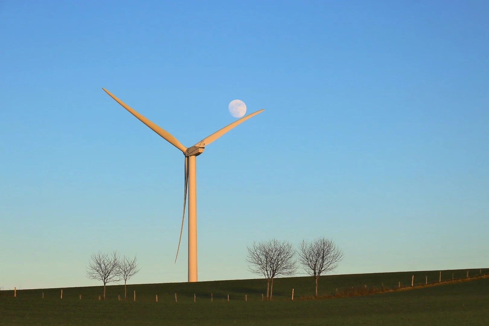 Léolienne-joue-avec-la-lune-....jpg
