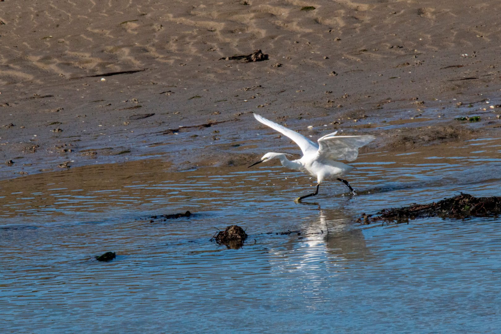 P.D-05-23-5.jpg