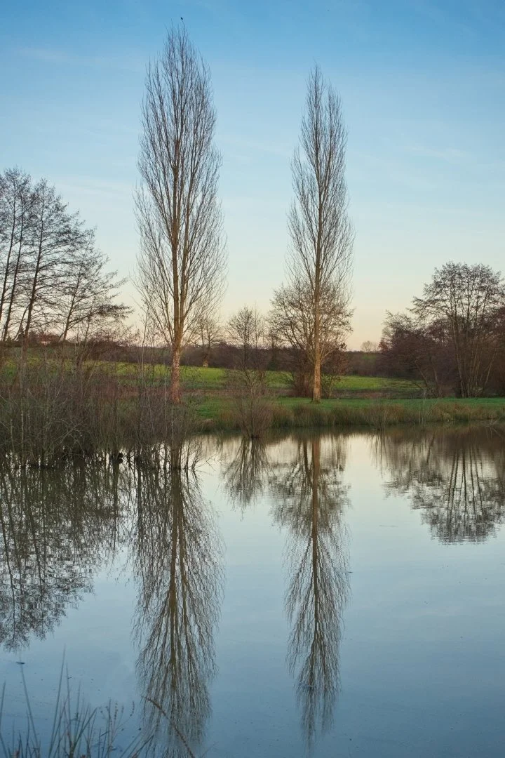 Miroir-dEau.jpg
