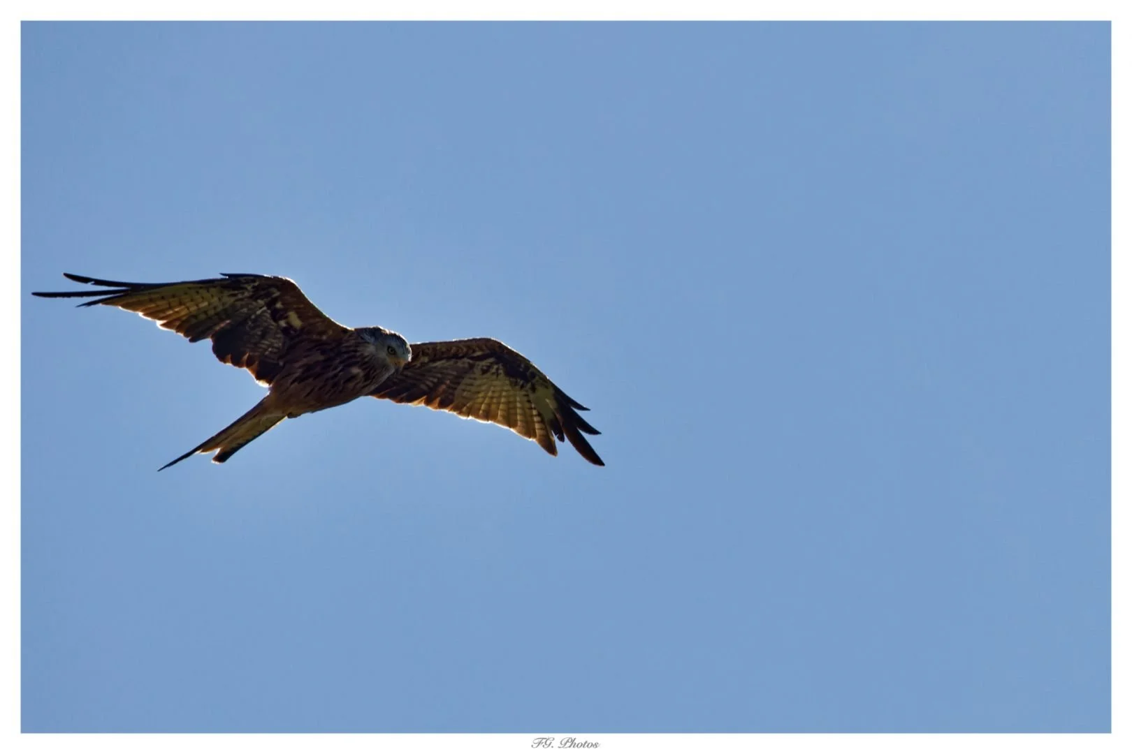 0A8A8673_DxO.jpg