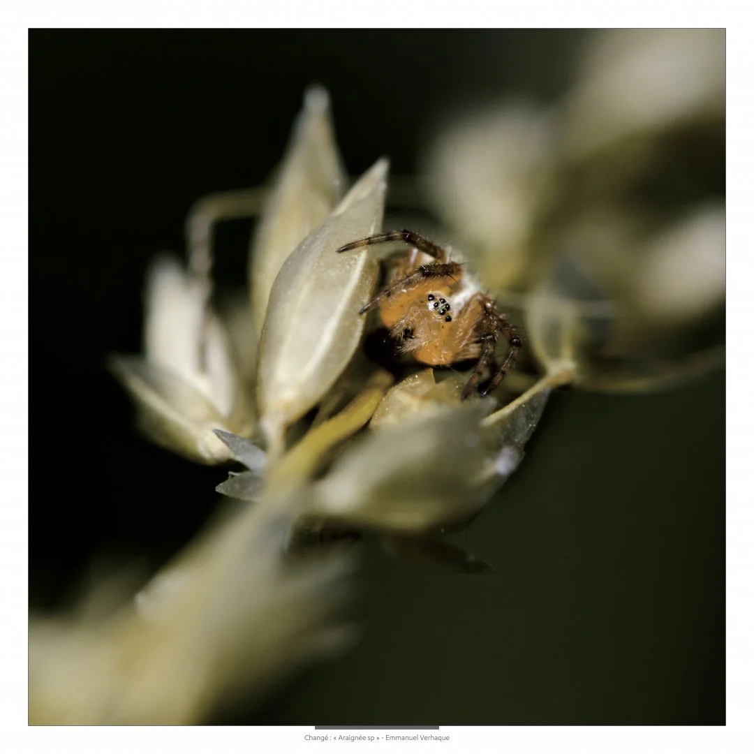 Support-leger-80X80cm-HD-3.jpg
