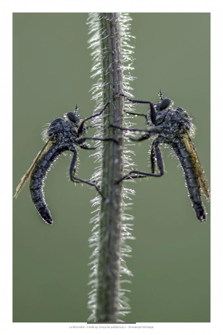 Support-leger-90X60-HD-2.jpg