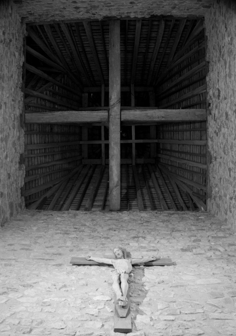 Cruciformes.jpg