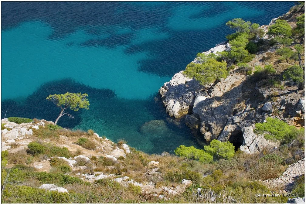 Le sentier des calanques