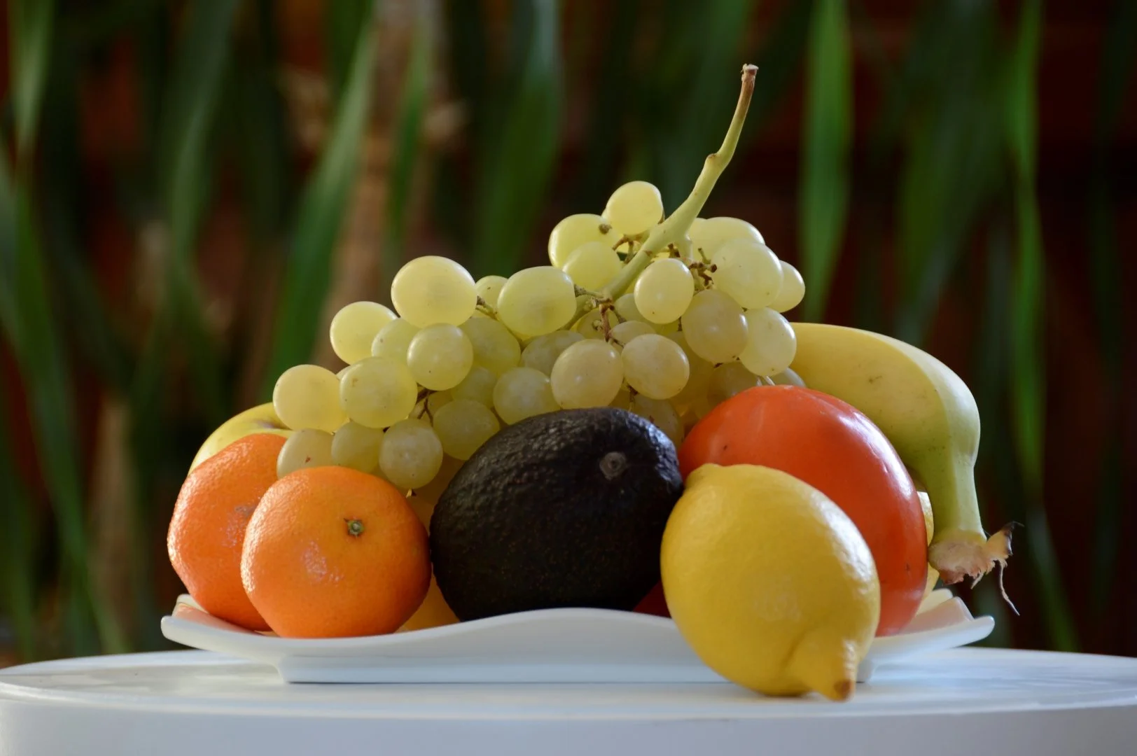 Coupe-de-fruit.jpg