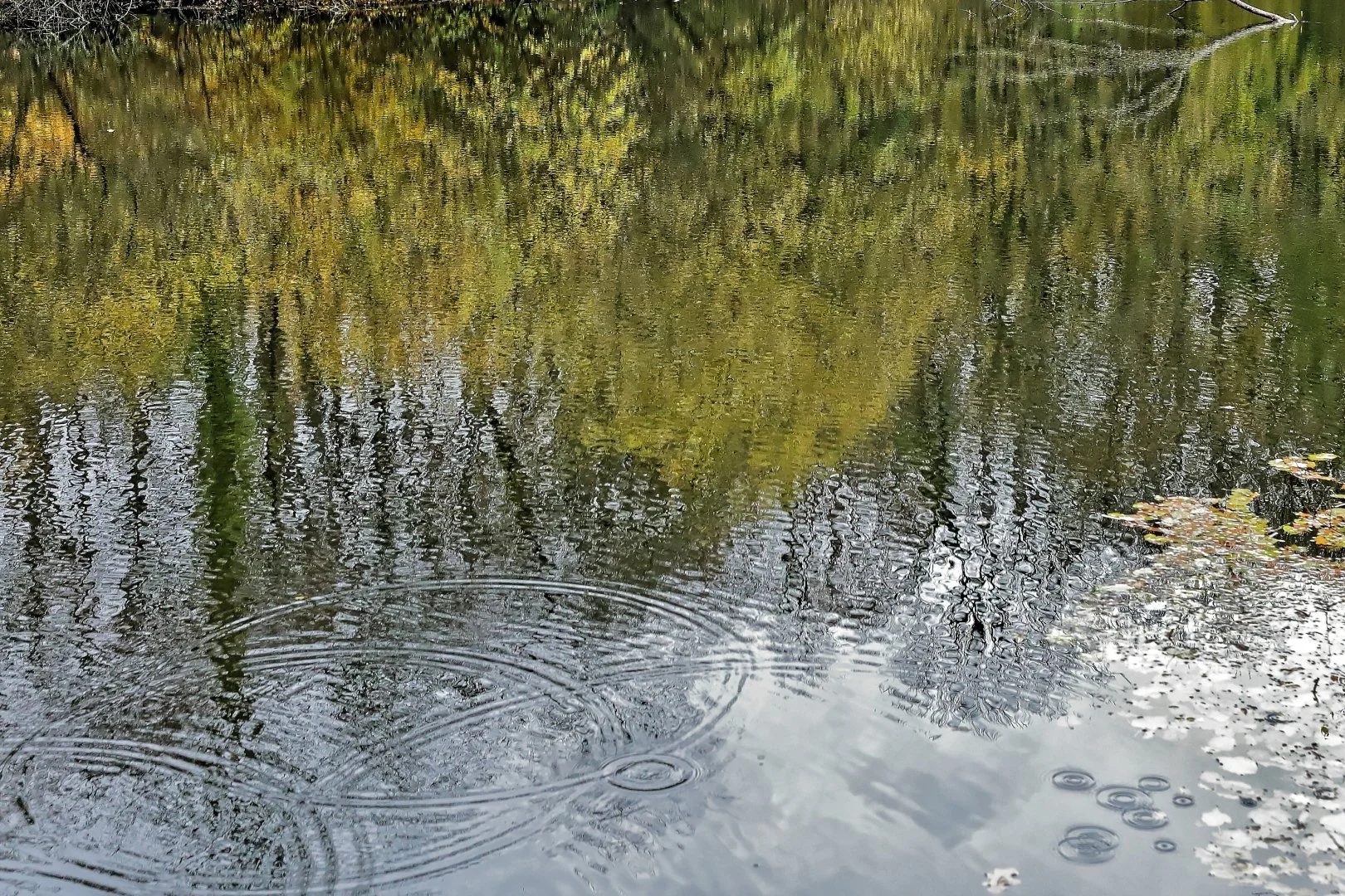 Jour-de-pluie.jpg