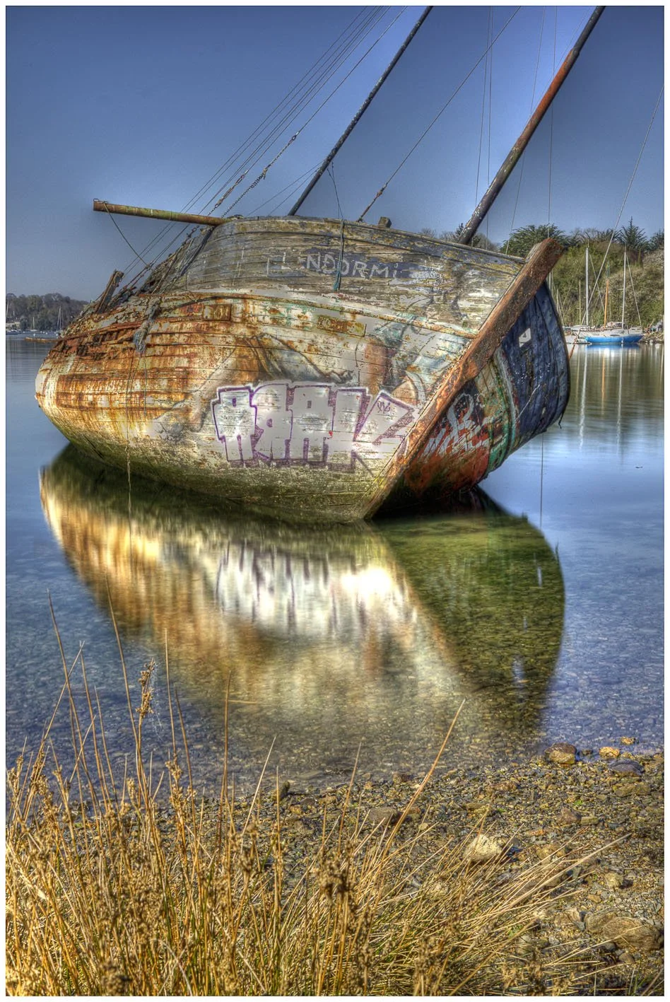 quelmer 10.jpg