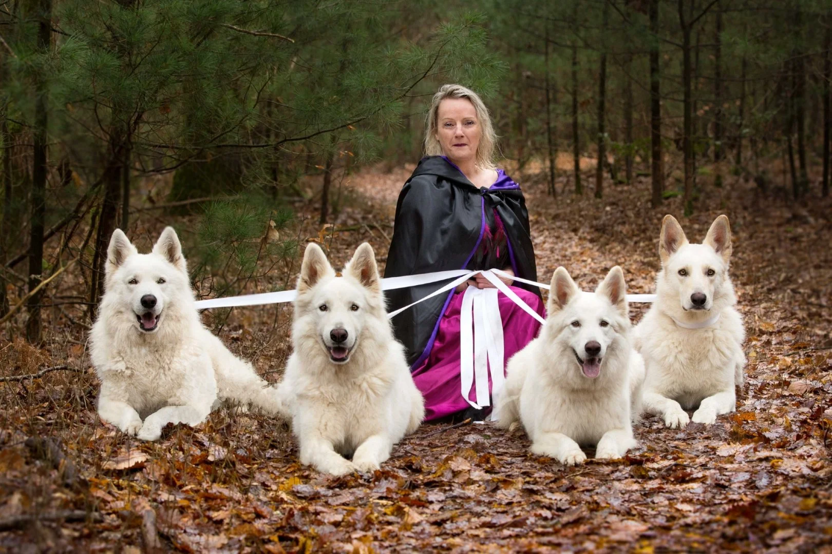 La-belle-et-les-loups..jpg