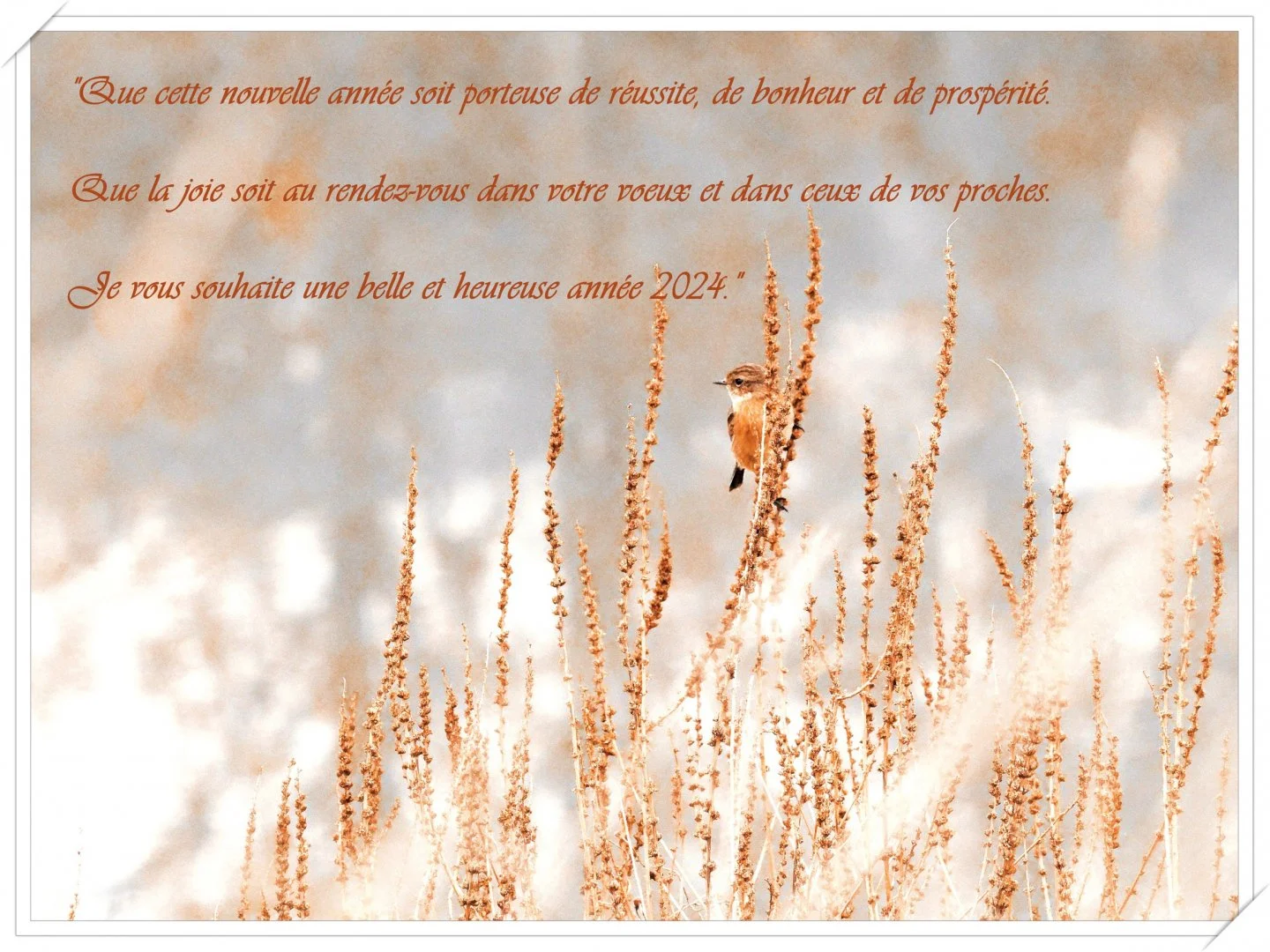 Josiane-voeux-2024.jpg