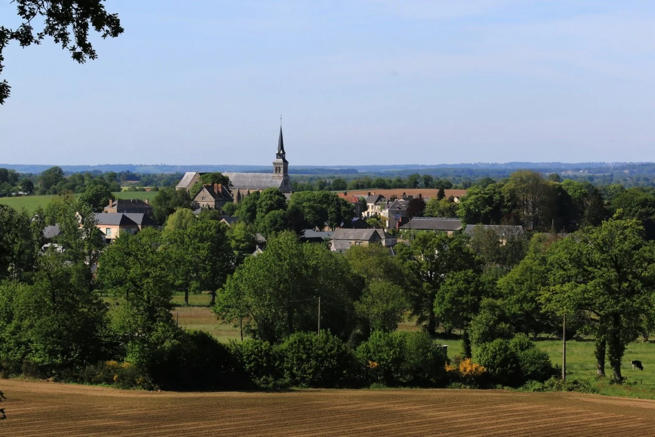 bocage-autour-de-Juvigné_w.jpg
