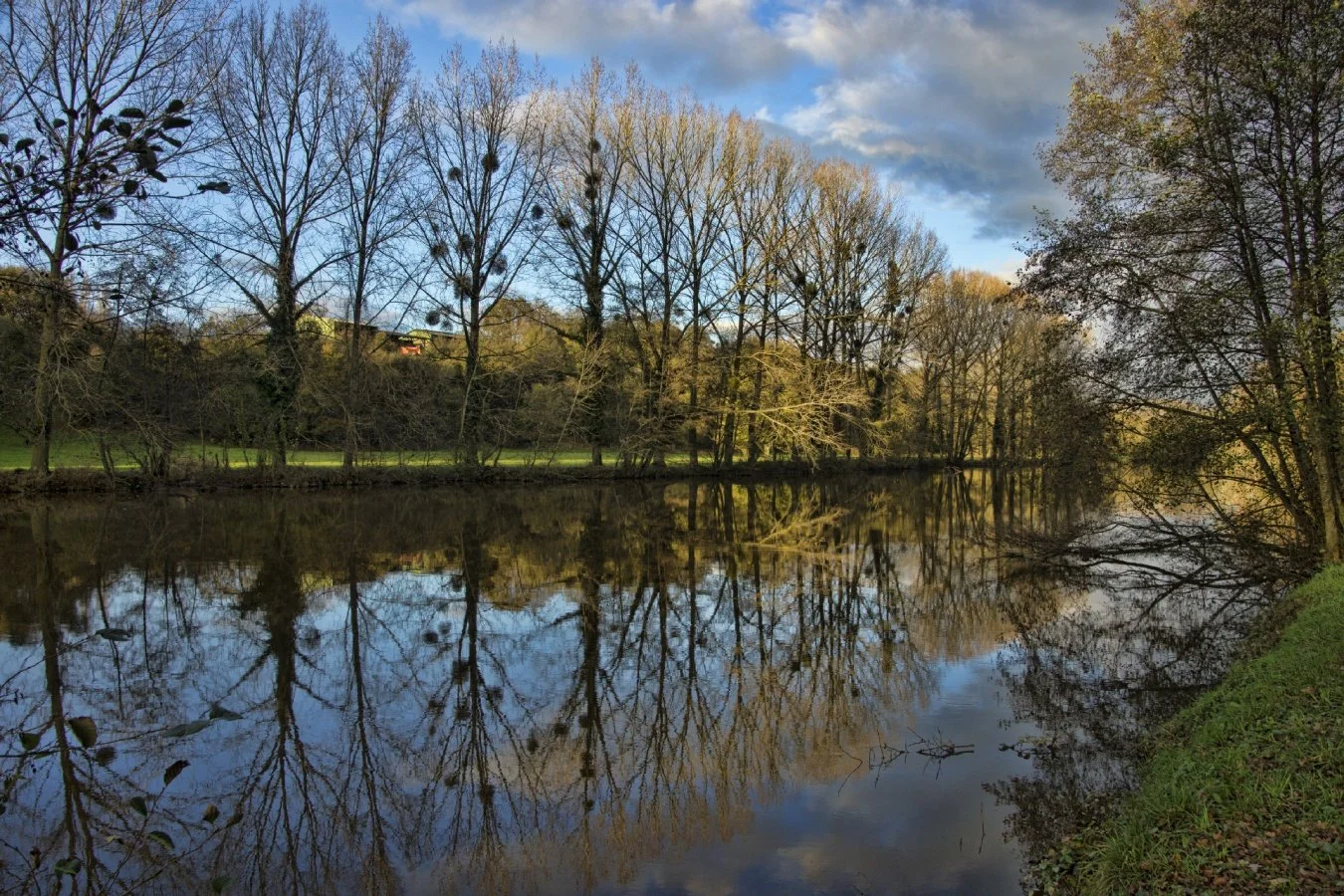 Reflets-et-couleur-de-fin-daprès-midi.jpg