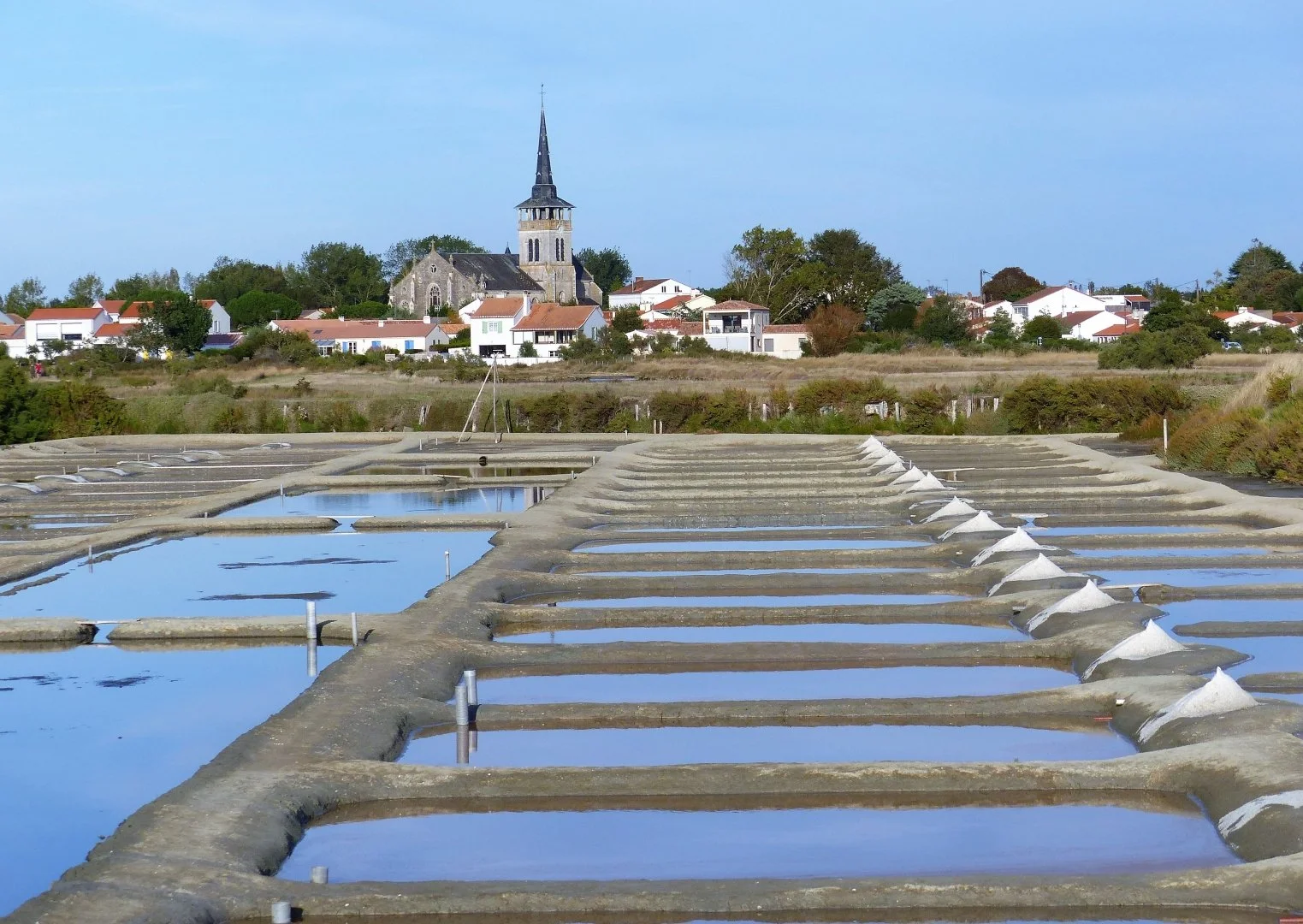 marais-salants-dOllones.jpg