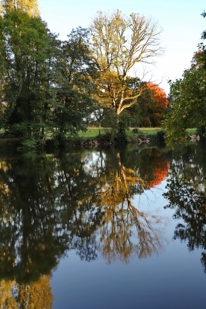 Belles-couleurs-dautomne-au-bord-de-la-Mayenne.jpg