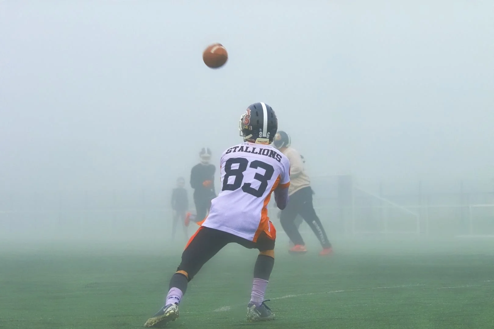 Football-americain-les-Stallions-de-Laval-DeNoiseAI-severe-noise.jpg