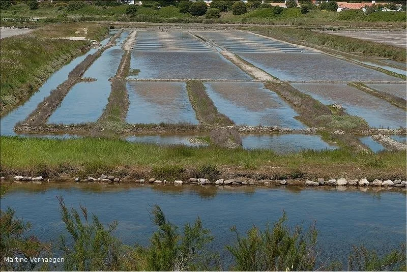 Au bord de l'eau