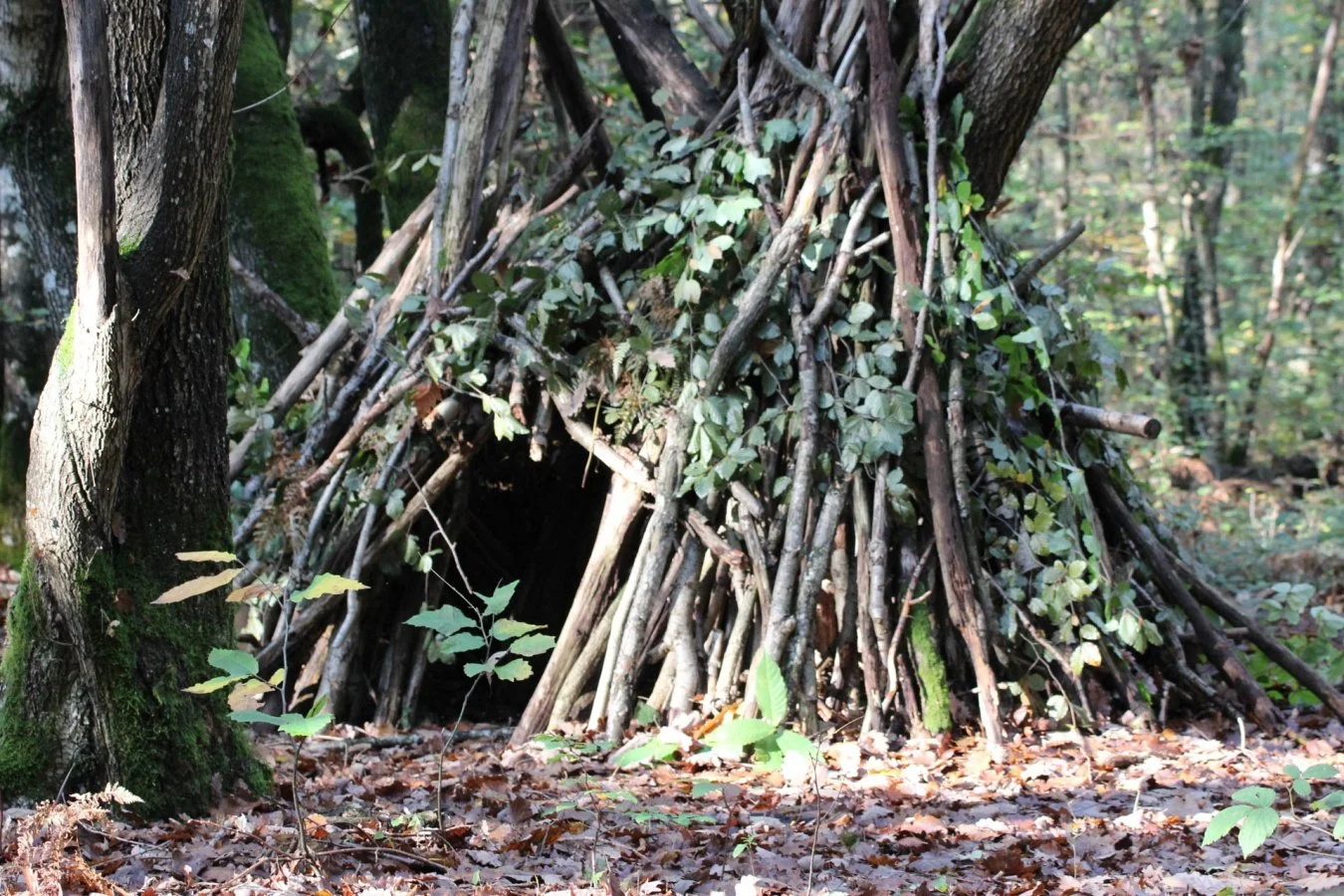 cabane-en-sous-bois.jpg