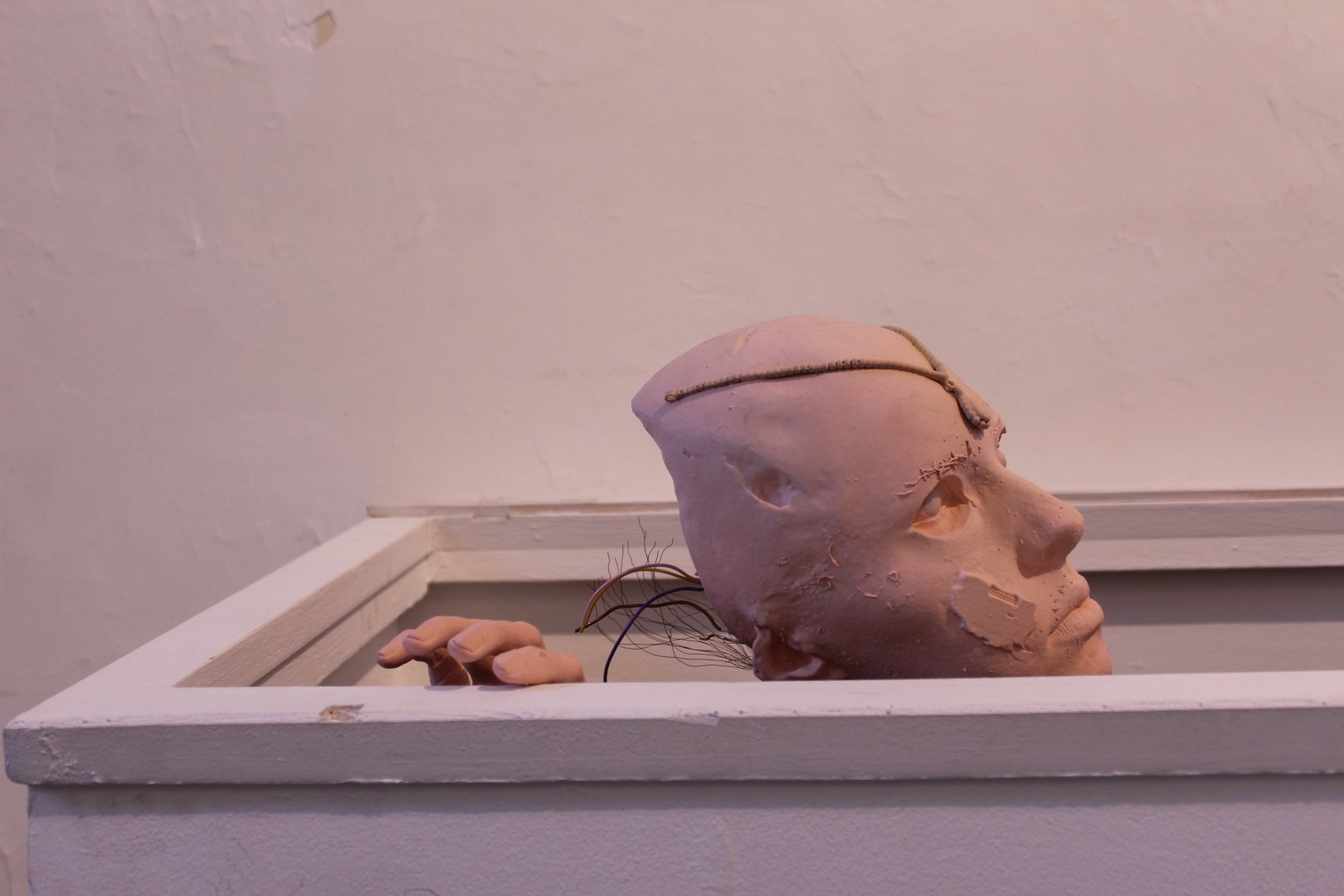 Homo-mordicus-et-caetera.JPG