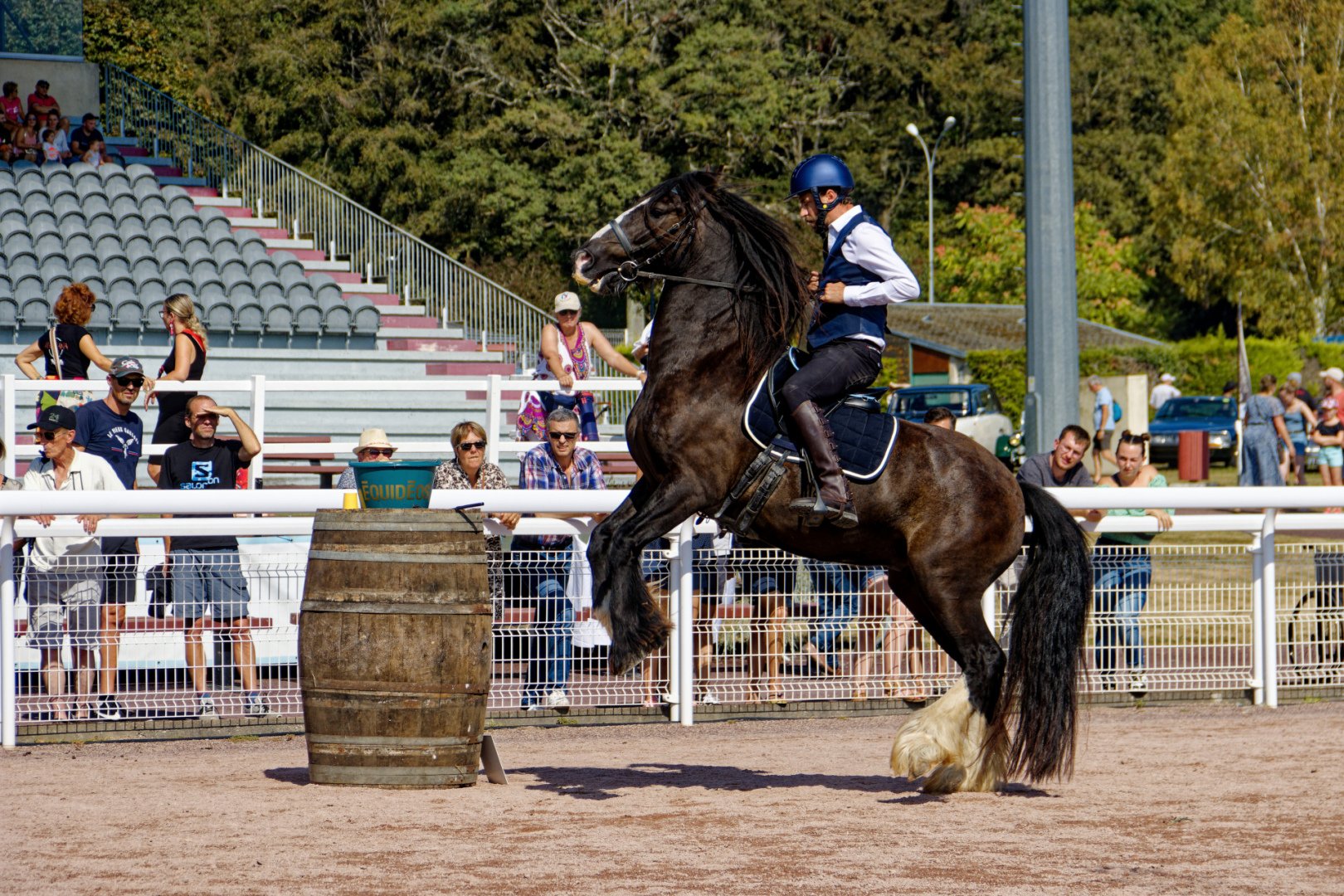 IMG_9899_DxO-1.jpg