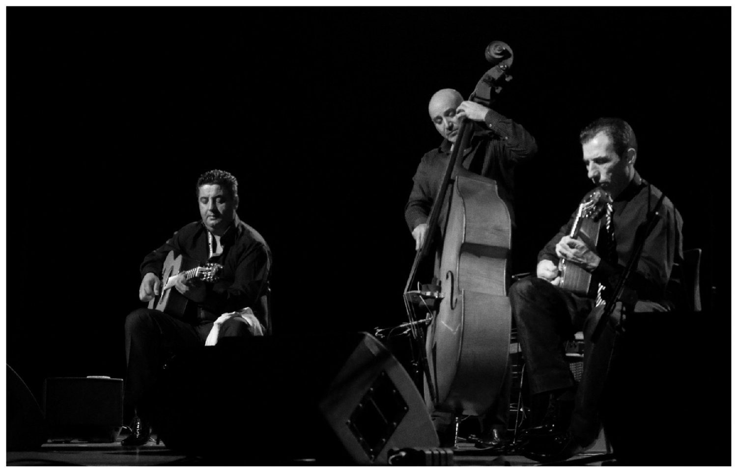 jazz_manouche_li.jpg