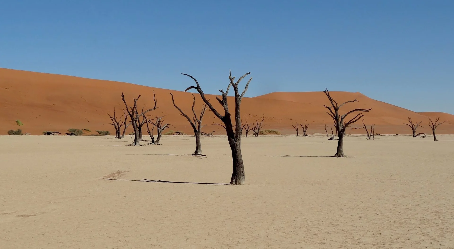 Régine-J.-Dead-Vlei..Namibie-01-60x33.jpg