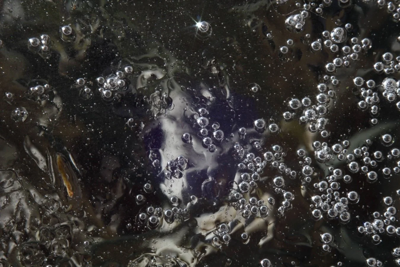Cosmos_001.jpg