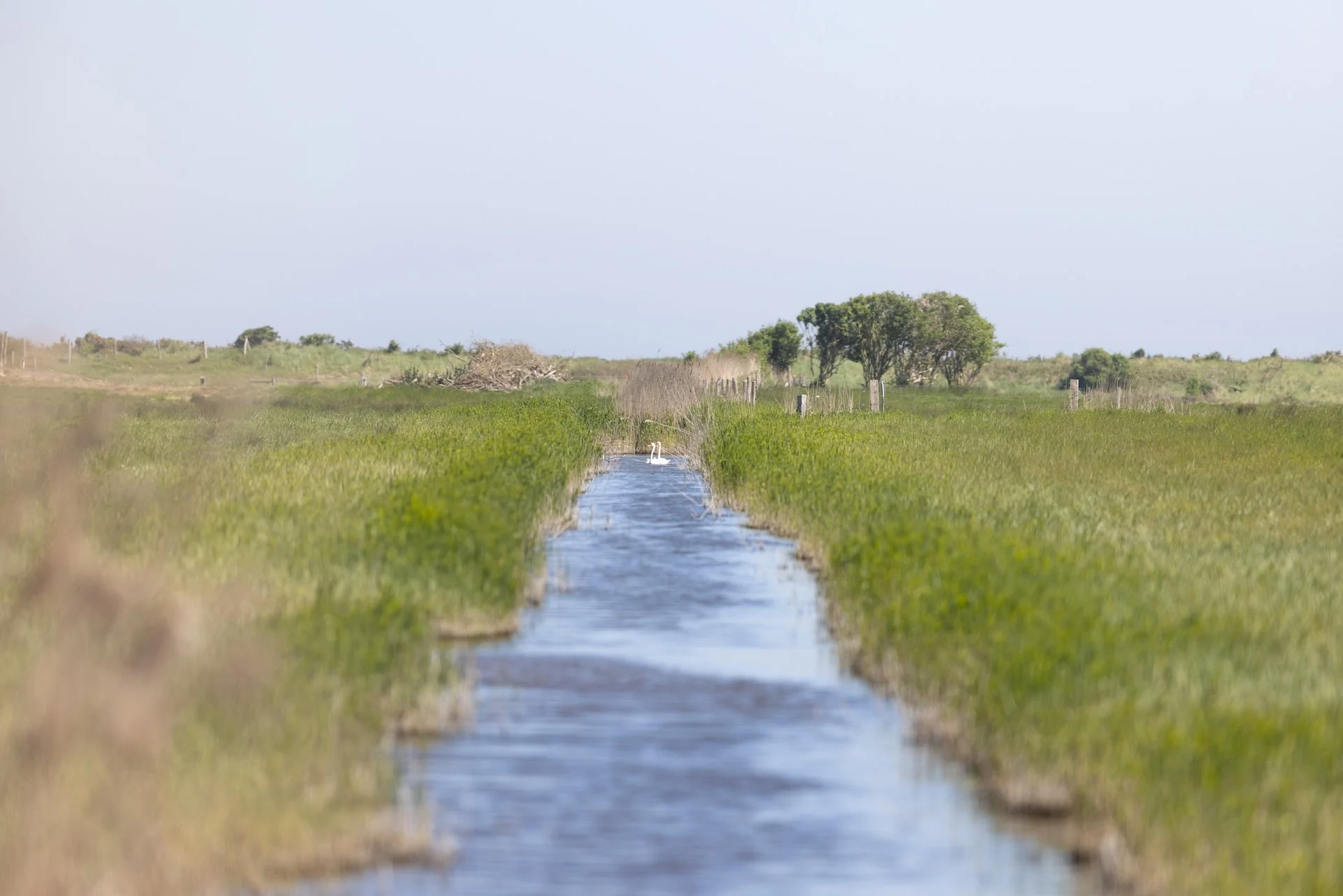 CP06.jpg