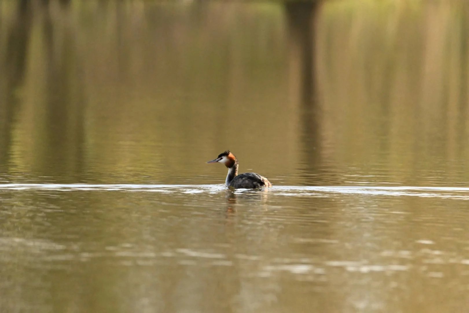 HM-DSC_7770.jpg