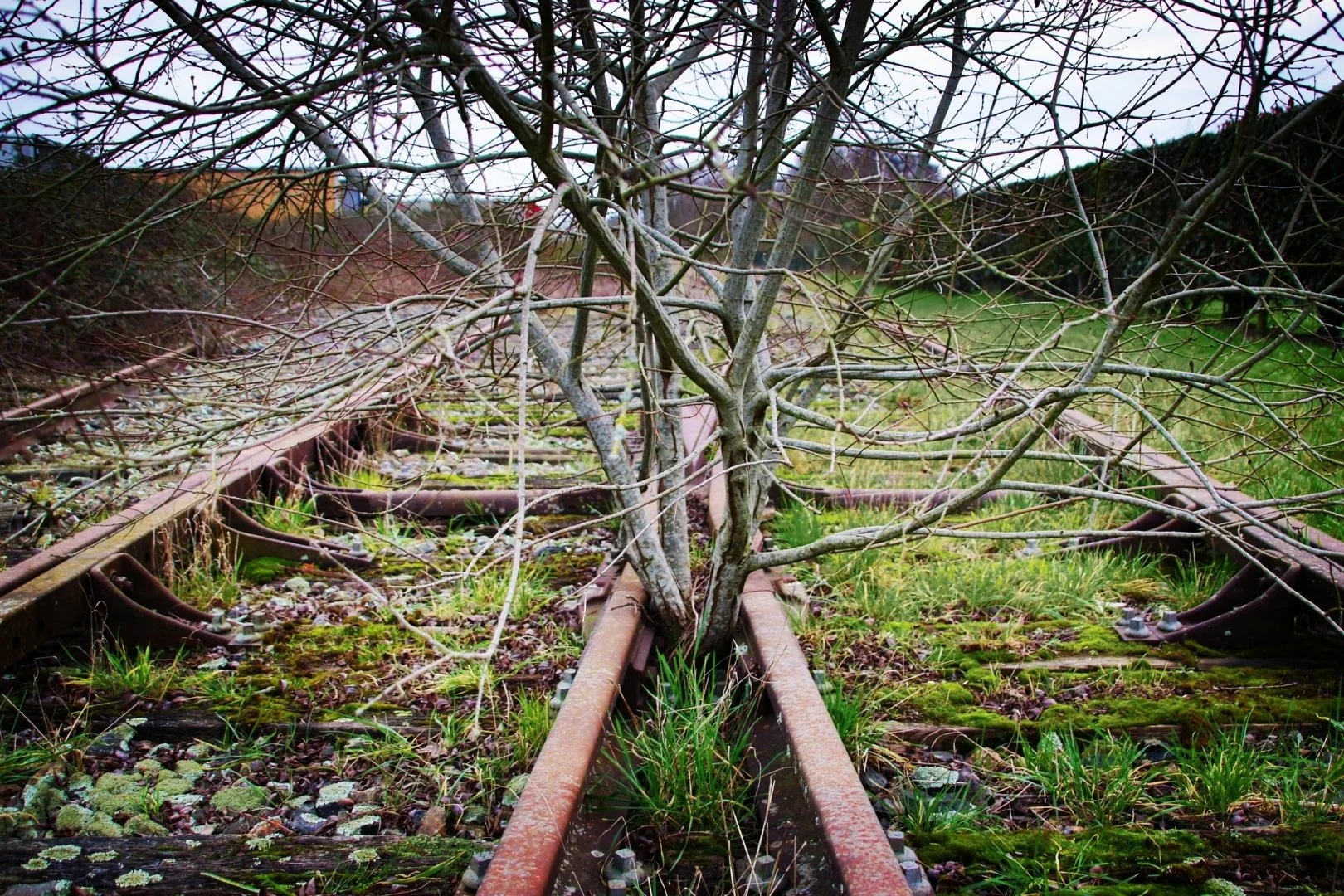 Le-Rail-abandonné.jpg