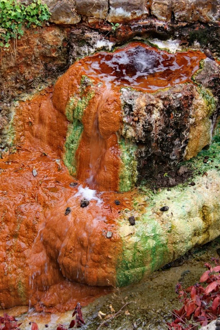 Source-Ferrugineuse.jpg