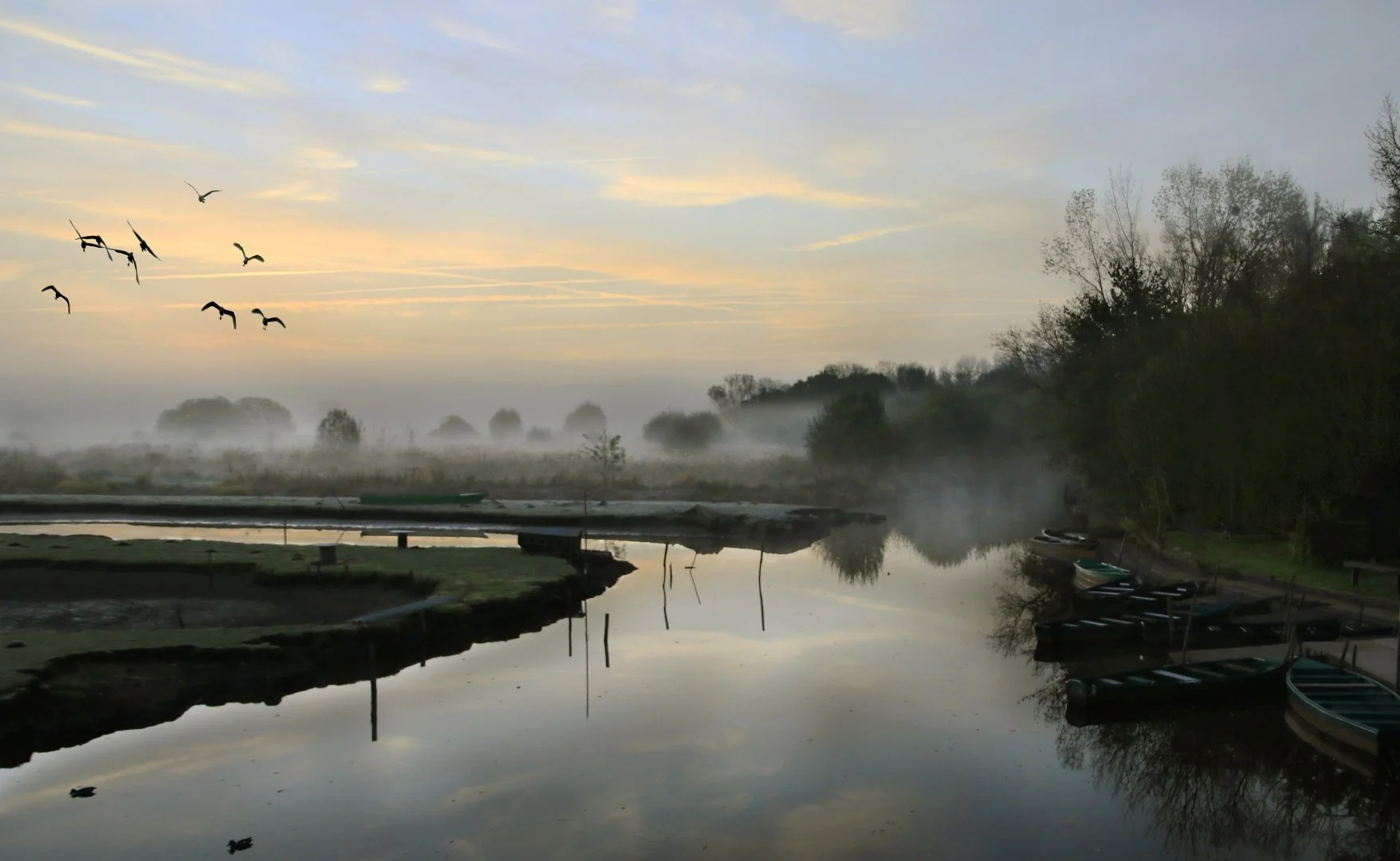 Parc-de-la-Brière.JPG