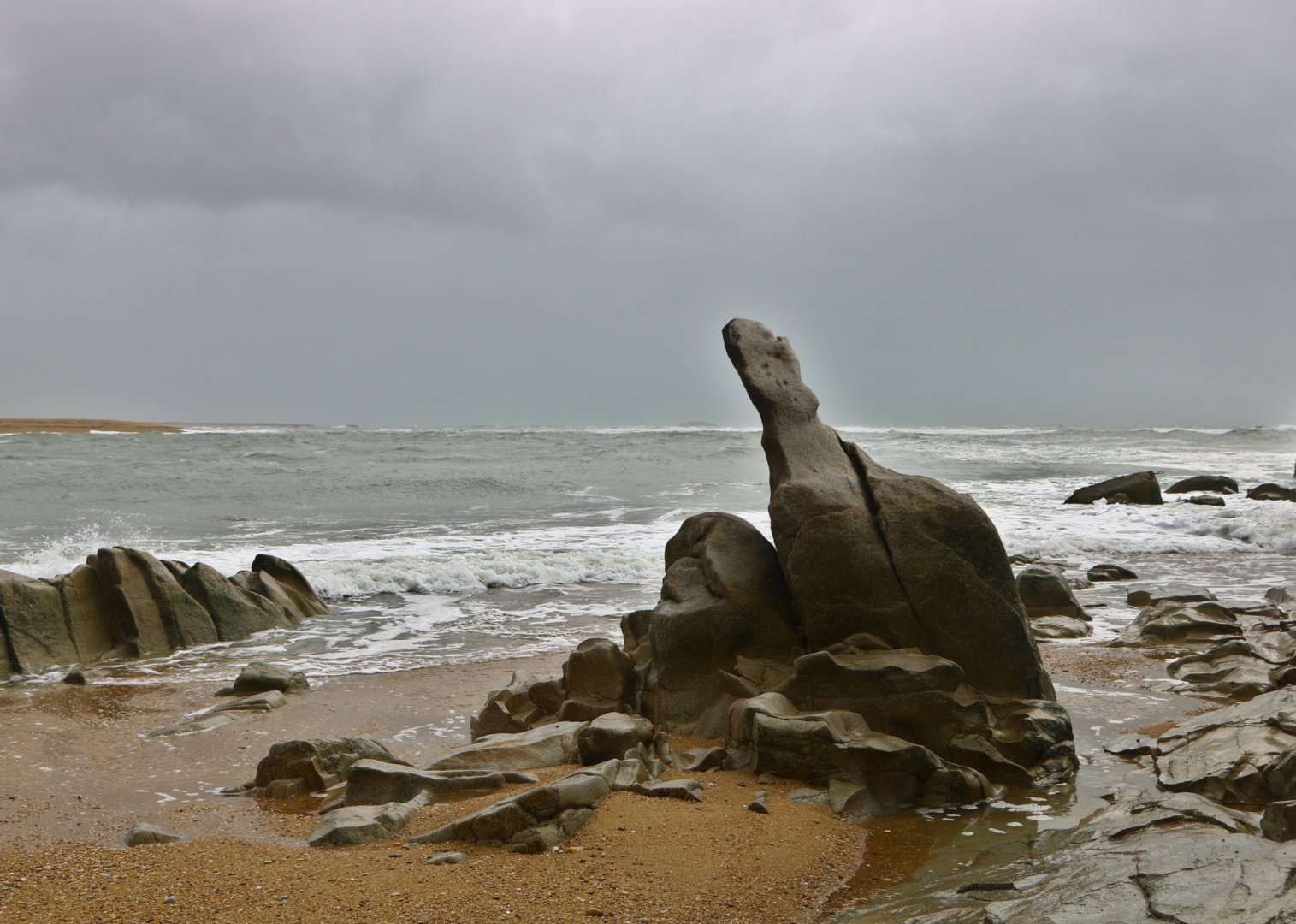 Tortue-de-pierre.jpg